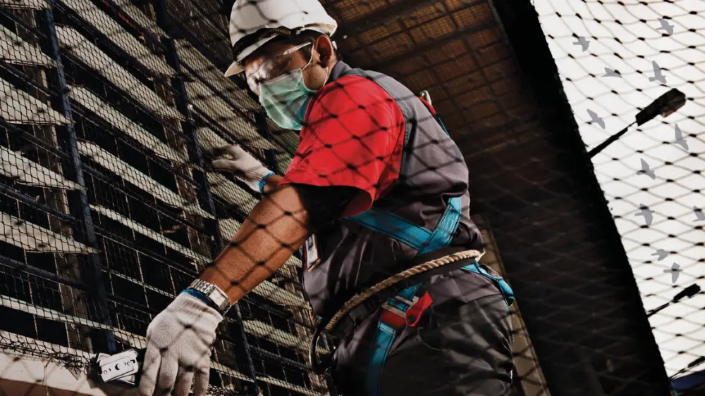 rentokil-image-colleague-bird-netting-fitting.webp
