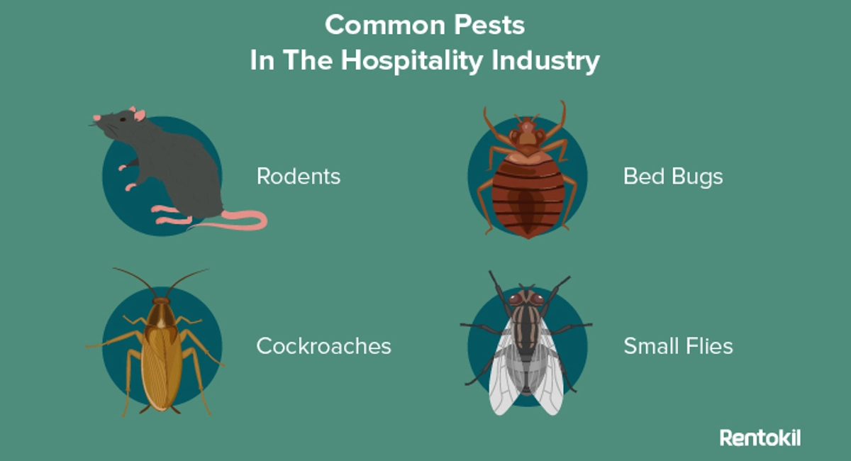 Common Pests in The Hospitality Industry