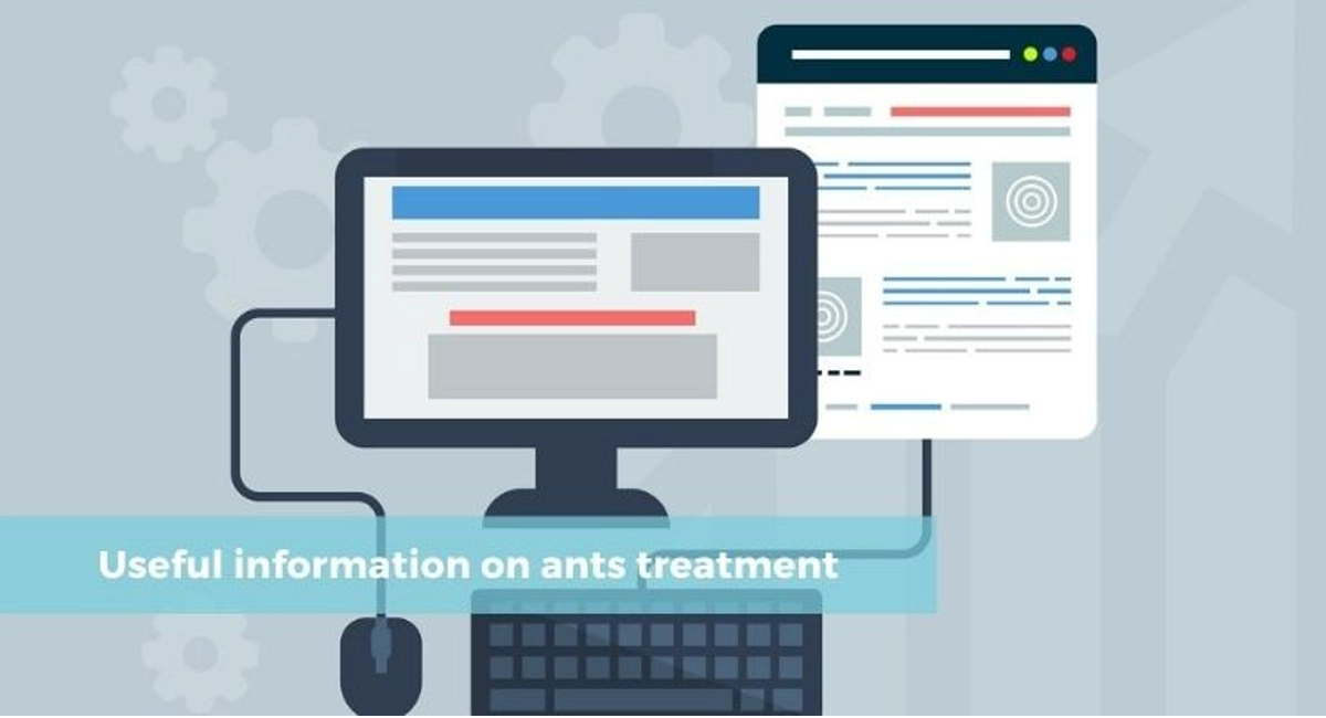Debugged Blog Five Reasons We Do Not Like Ants In Homes Useful Information On Ants Treatment