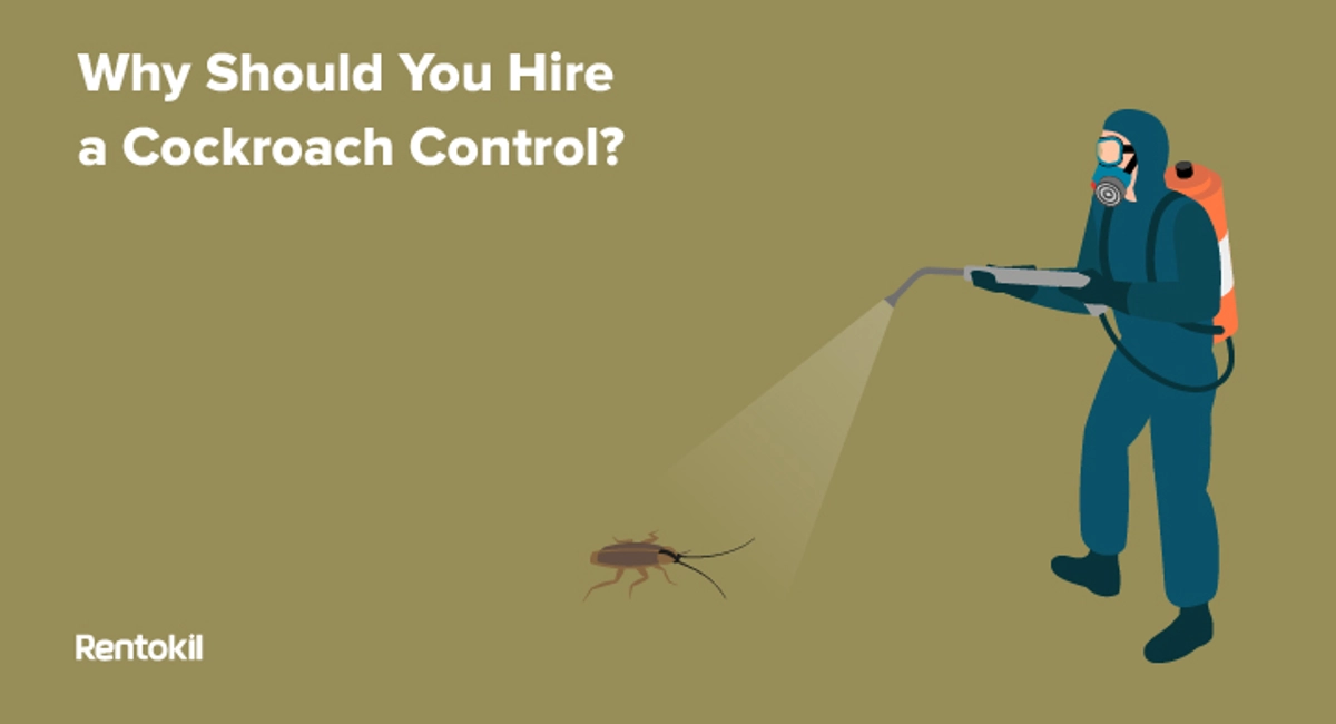 why should you hire a cockroach control