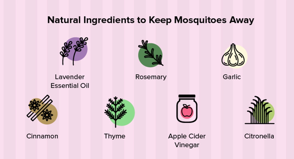 Natural ingredients to keep mosquitoes away