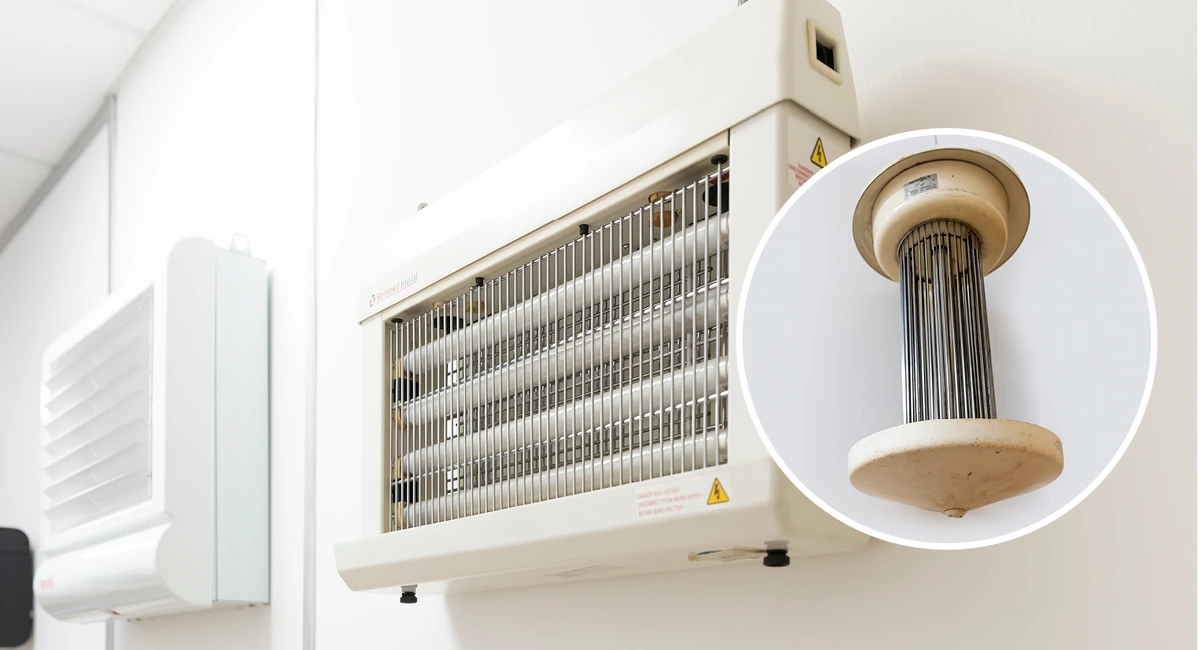 rentokil-image-pest-bir-building-netting