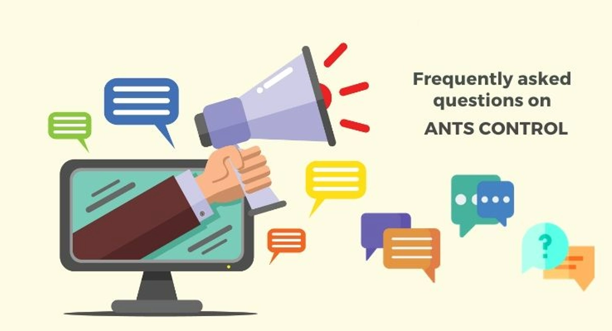 Debugged Blog Seven Facts We Did Not Know About Ants FAQ Ants Treatment