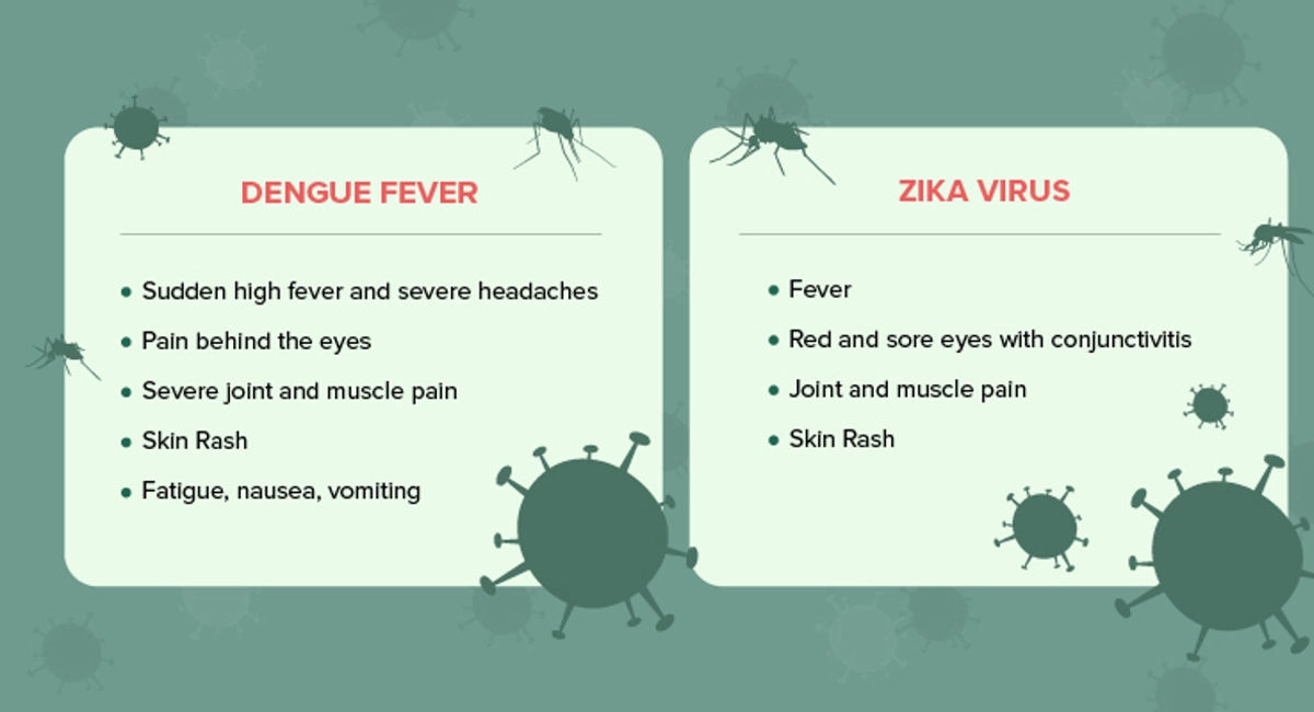 Debugged Blog Eight Facts of Dengue and Mosquito Control Prevent Mosquito Bites