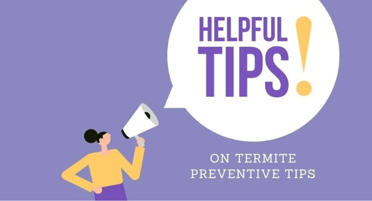 Debugged Blog Five Ways Termites Can Destroy Your Home Termite Prevention Tips