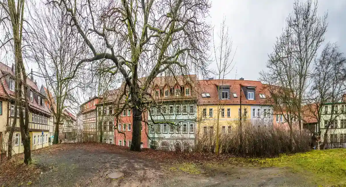 trees near building exterior