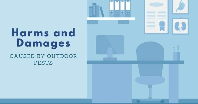 6 Tips Outdoor Pest Free Living Harms and Damages