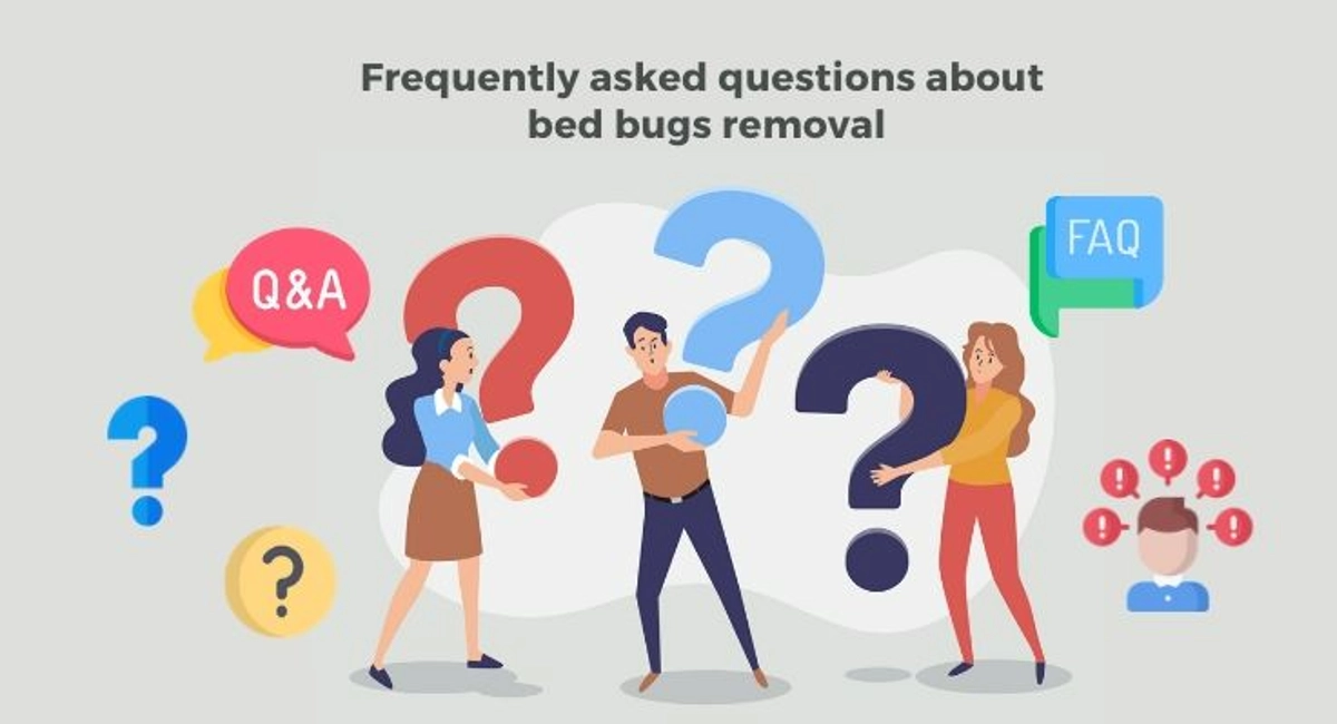 Debugged Blog Seven Facts About Bed Bugs In Singapore FAQ on Bed Bugs Removal