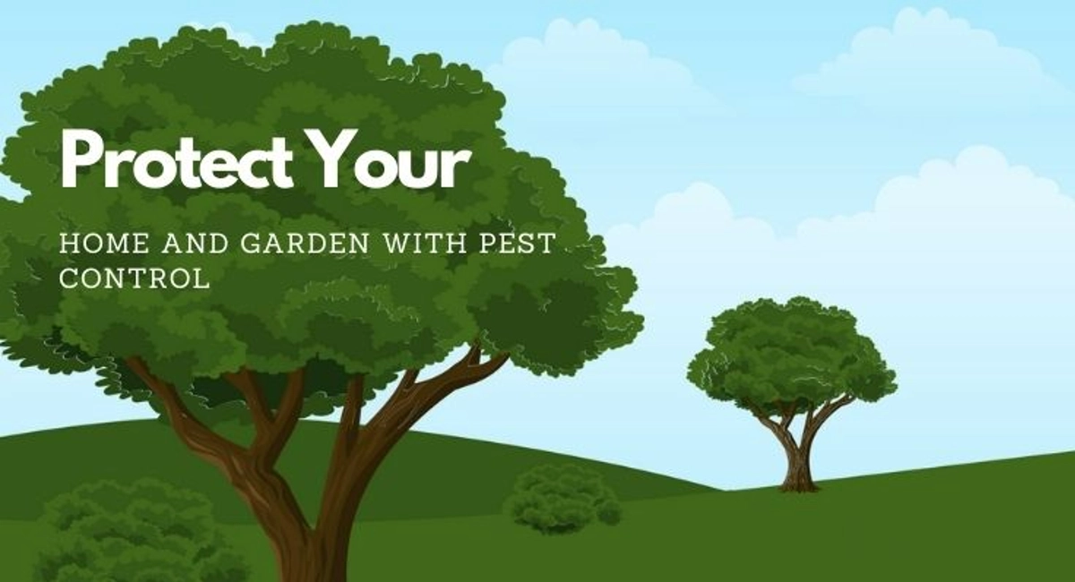 debugged blog how to protect your plants from pest protect home and garden with pest control