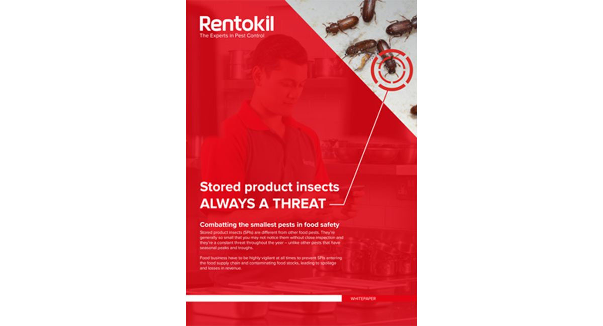 Stored product insects