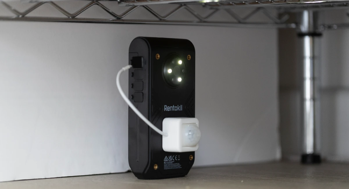 PestConnect Optix in kitchen