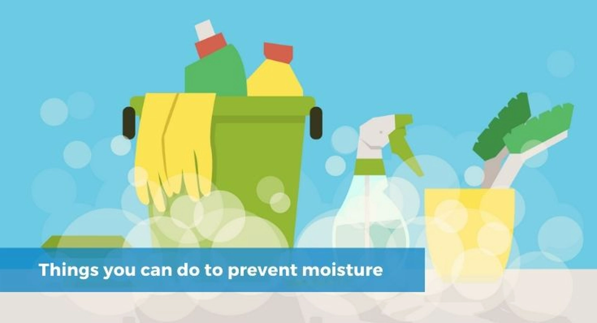 Debugged Blog Article Do You Know Water Attract Pests Things You Can Do To Prevent Moisture