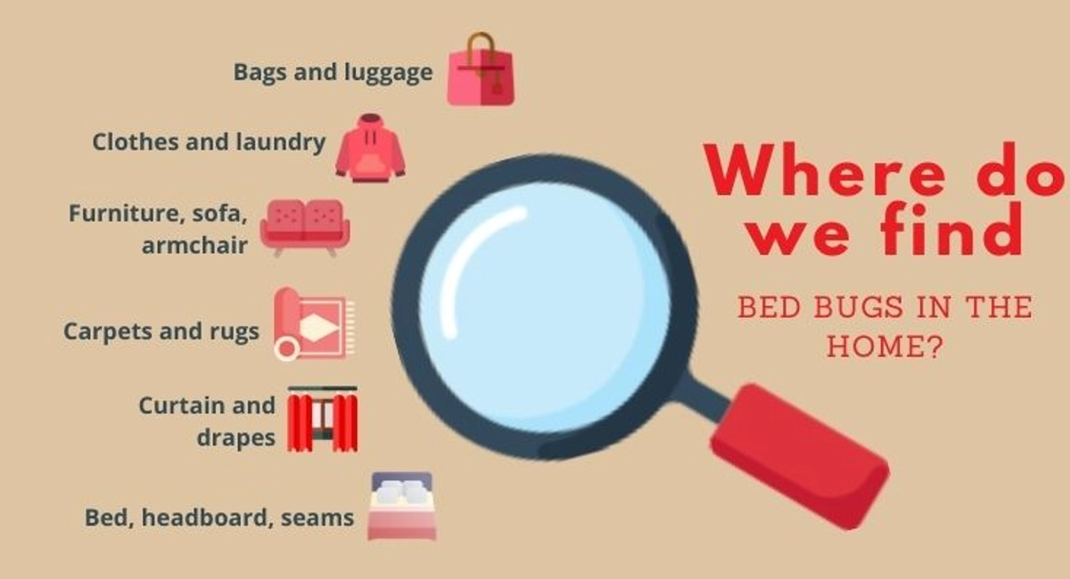 Debugged Blog Ten Questions To Ask About Bed Bug Control Where To Find Bed Bug