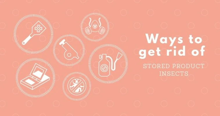 Ways To Get Rid of SPI