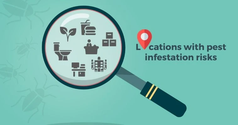 Questions To Ask About Pest Control Locations With Pest Risk Infestation