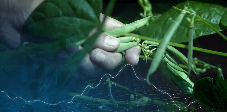 Driving sustainability for the food sector
