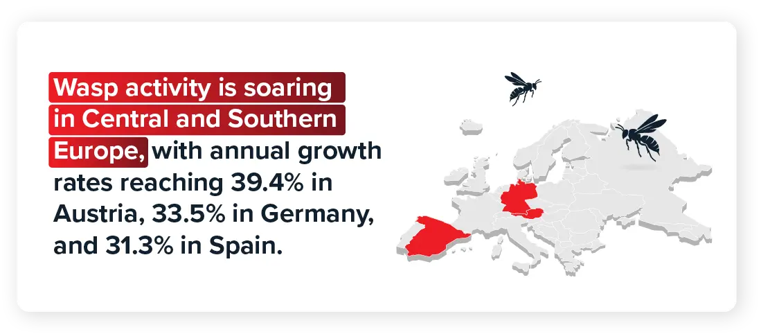 Wasp activity is soaring in Central and Southern Europe, with annual growth rates reaching 39.4% in Austria, 33.5% in Germany, and 31.3% in Spain. 