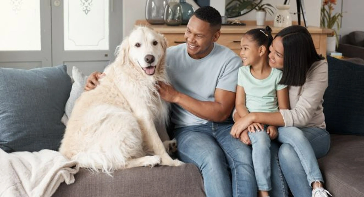 dog on sofa with family
