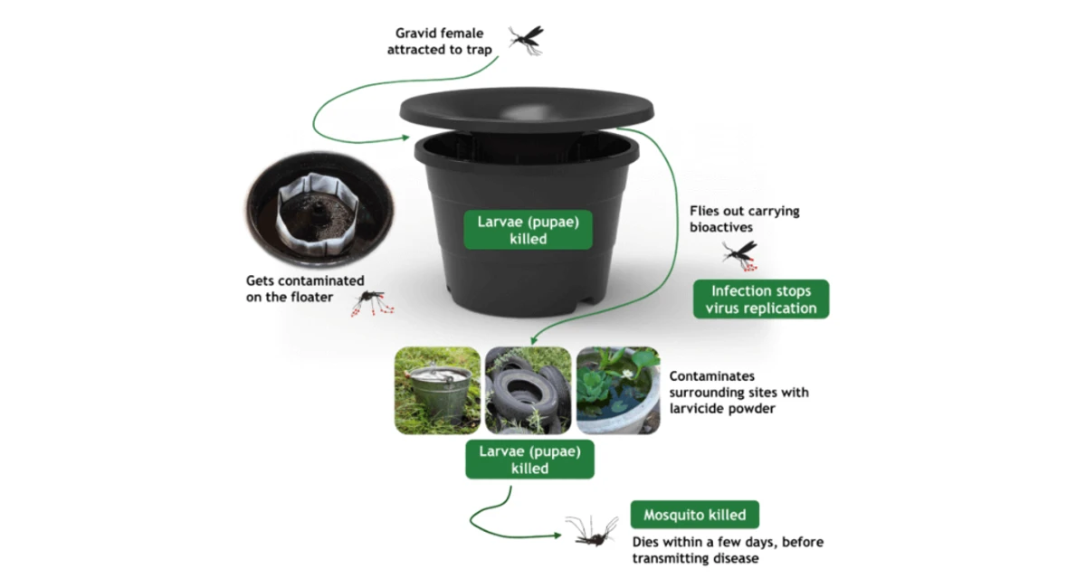 mosquito-trap