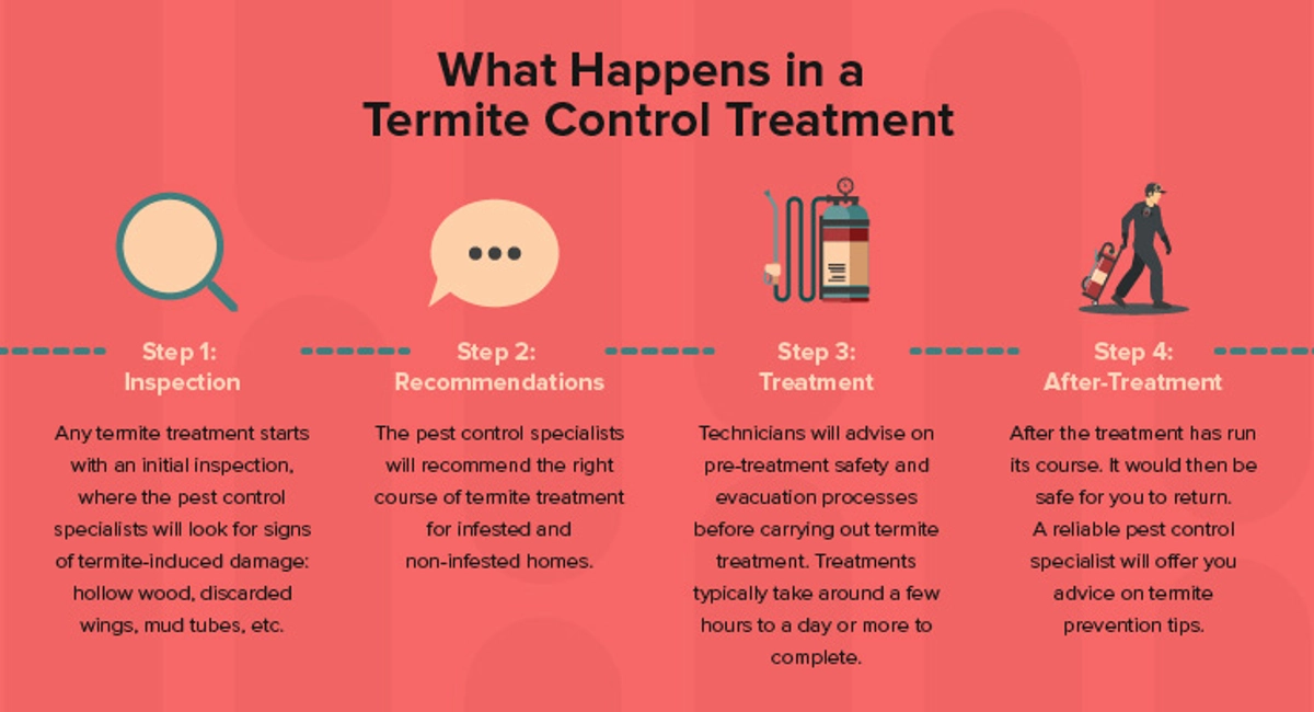 What Happens in a Termite Control Treatment
