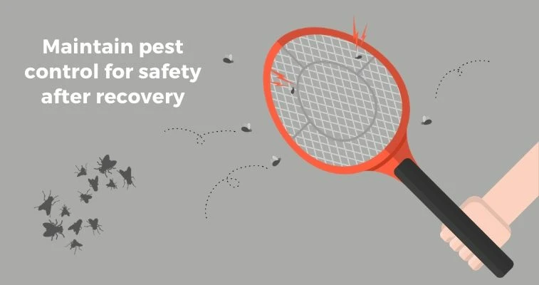 Pest Control For Safety After Recovery