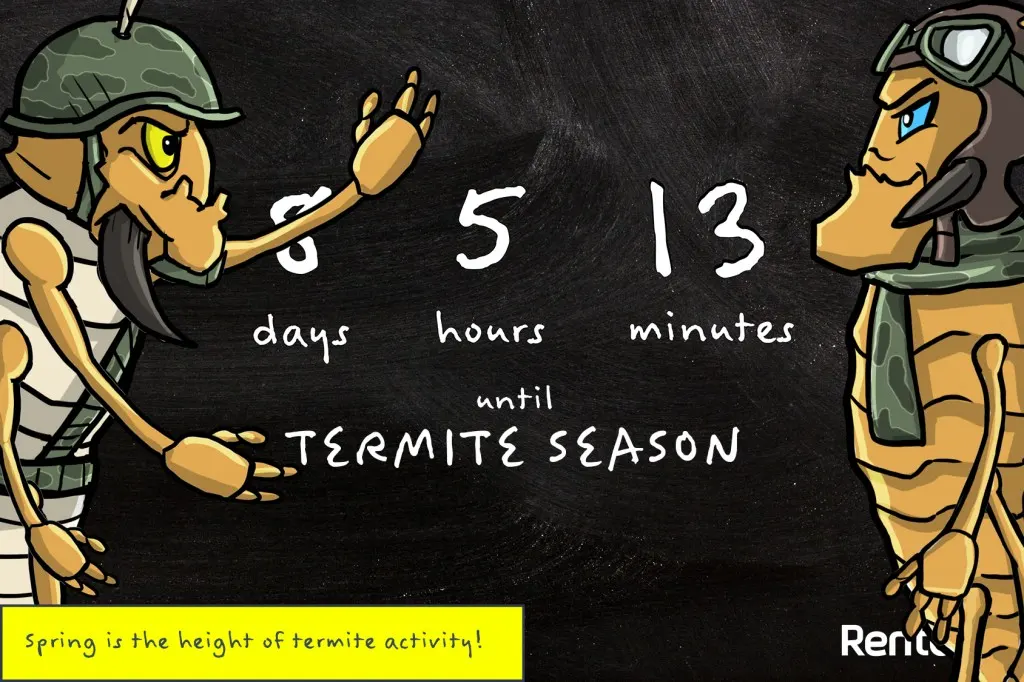 When Do Termites Fly