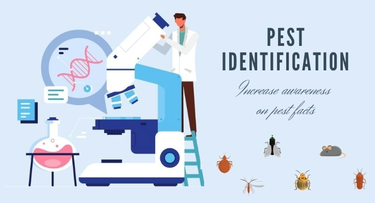 Debugged Blog Seven Pest Bites You Need To Know Pest Awareness