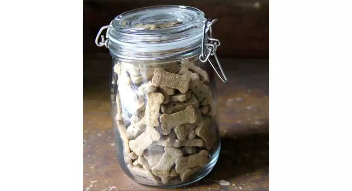 Can pet food attracts home pests?