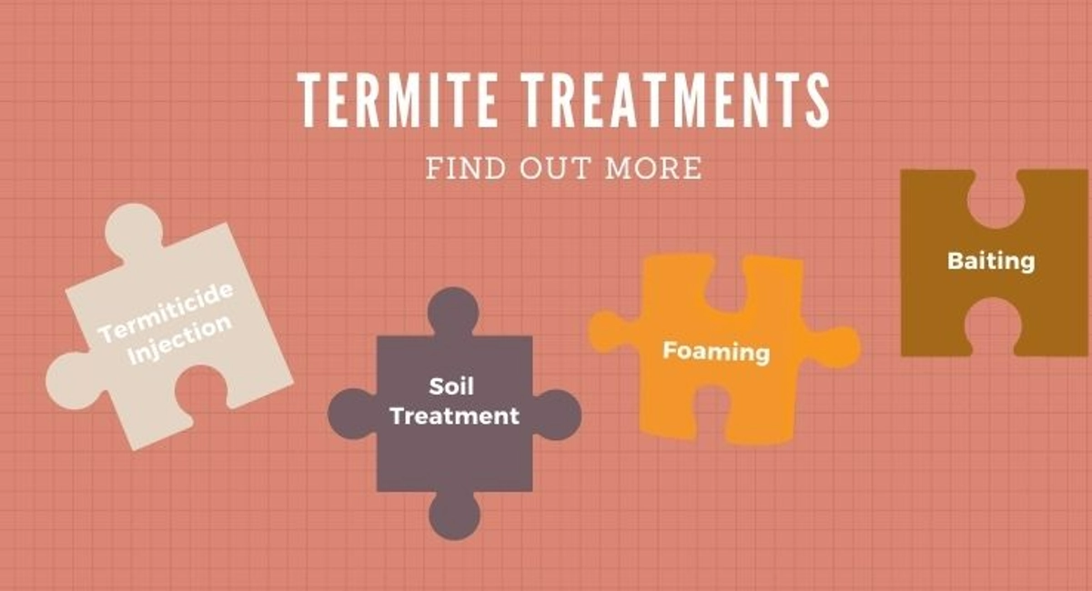 Debugged Blog Five Ways Termites Can Destroy Your Home Termite Control