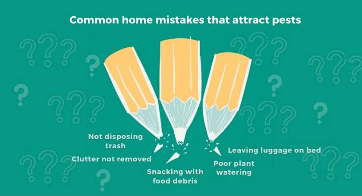 Debugged Blog Common Pest Problems At Home Common Home Mistakes That Attract Pests