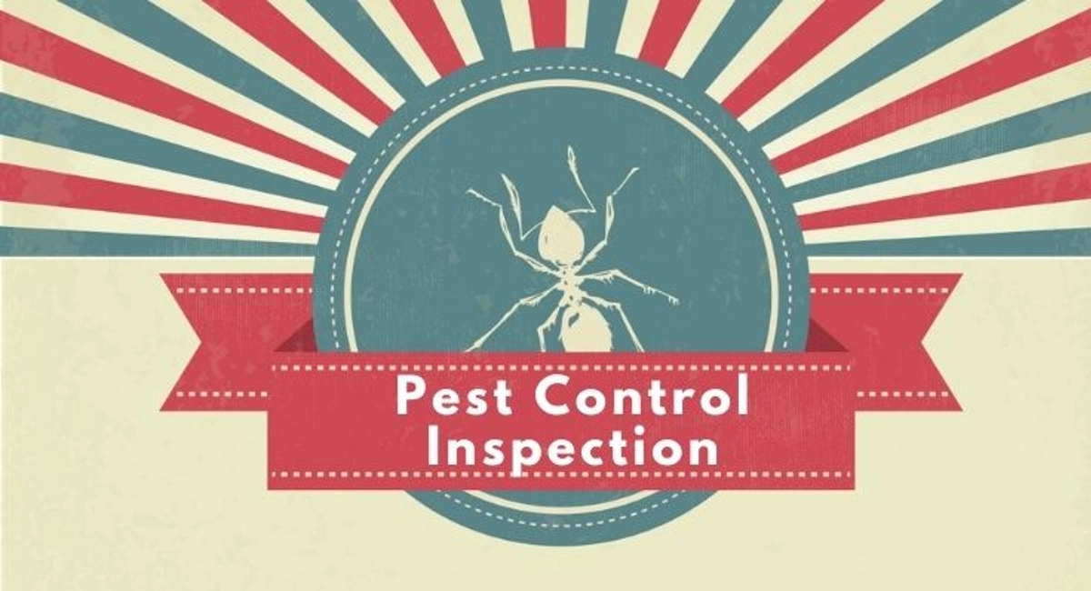 Debugged Blog Five Pest Control Inspection To Conduct For Your Home Pest Control Inspection