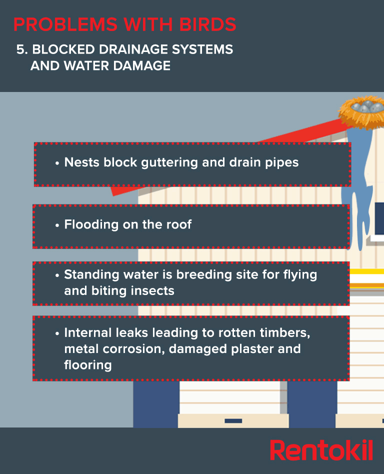 Blocked drainage systems