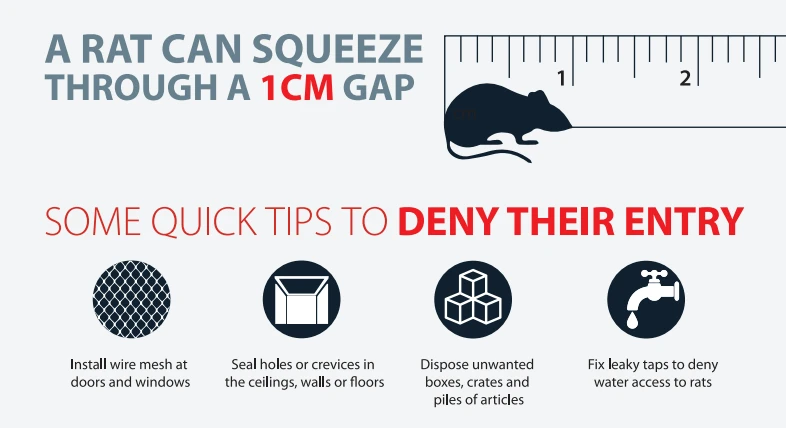 Solving your drywood termite problem