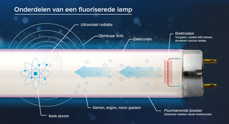 Onderdelen van een UV-lamp
