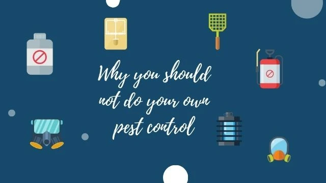 Why You Should Not Do Your Own Pest Control