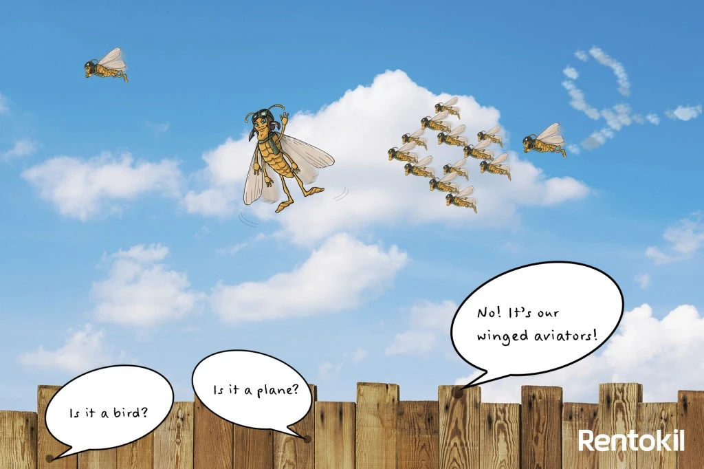 Termite Swarmers