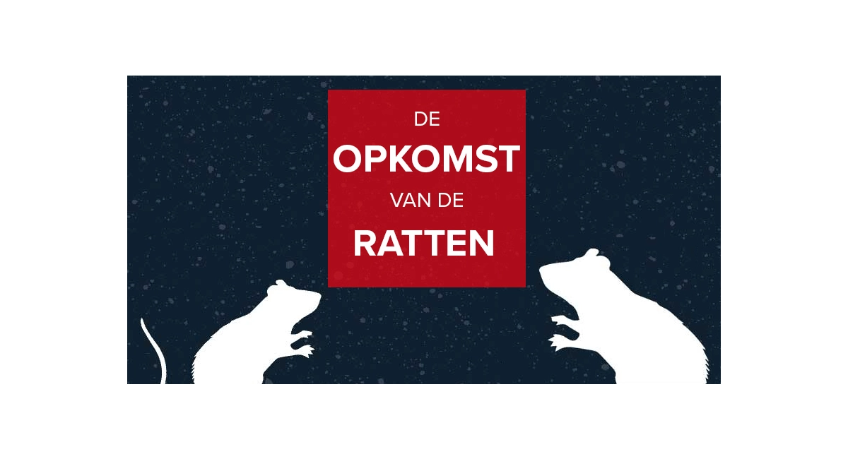 Ratten in de stad