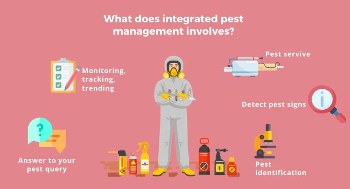 Debugged Blog Article What is An Integrated Pest Control About What Inolves In Integrated Pest Management