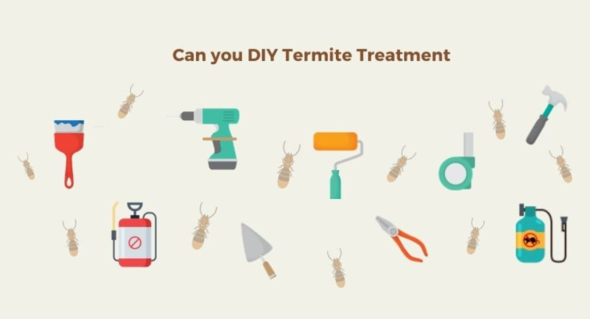 Debugged-Blog-When-Do-You-Engage-Termite-Control-Can-You-DIY-Termite-Treatment