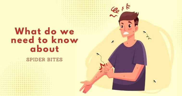 What You Need To Know About Spiders Bites