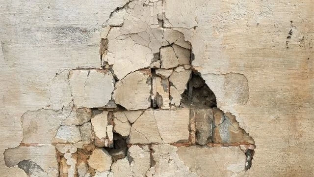Signs of termite damages