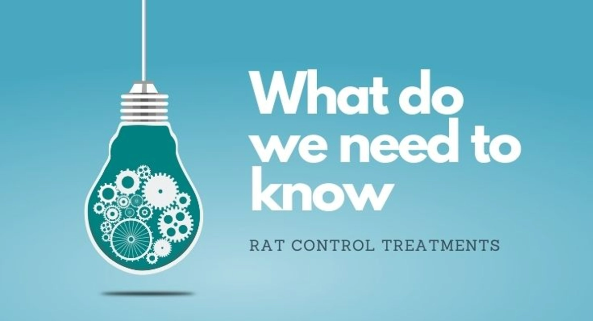 Debugged Blog Five Reasons Why We Do Not Like Rats About Rats Control Treatment