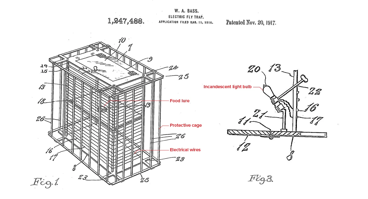 insect trap design