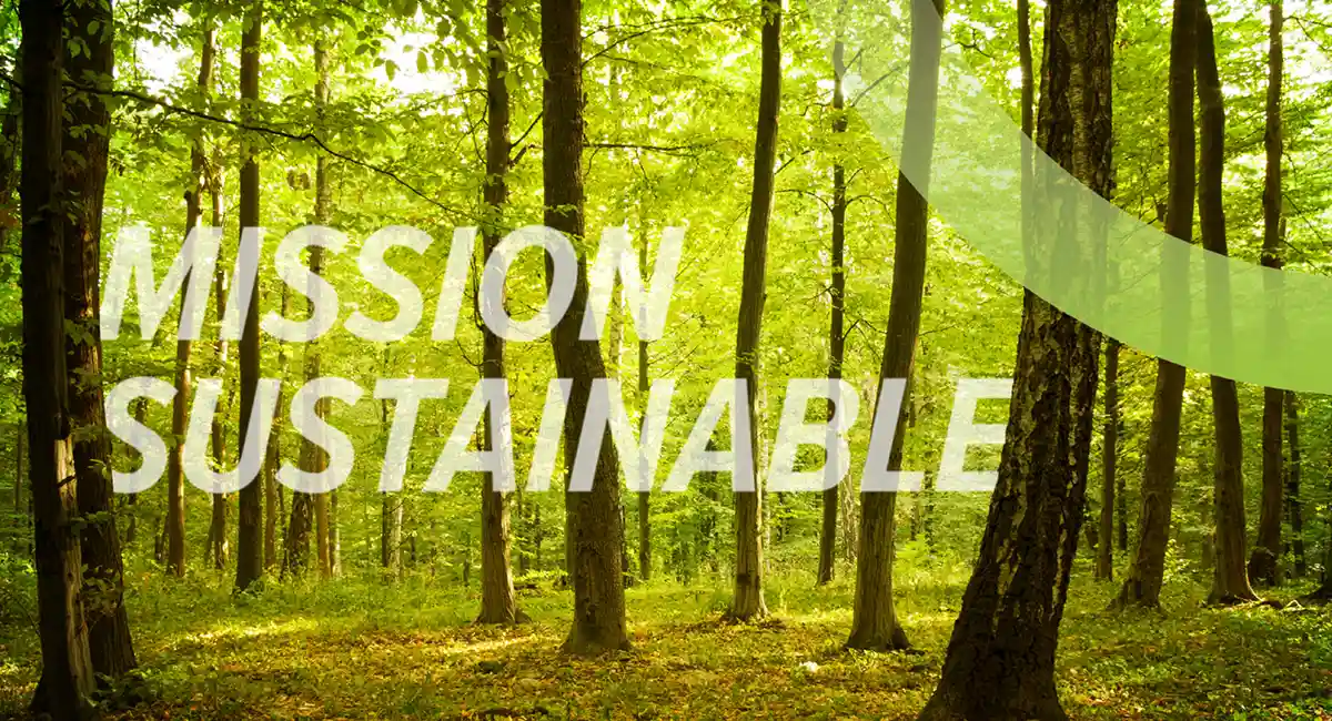 Mission sustainable trees in forest