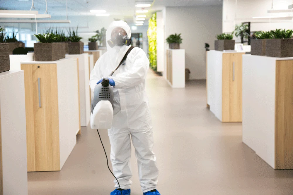 Global disinfection services