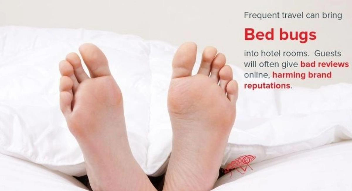 Debugged Blog Rentokil Voted Best Pest Control Bed Bug Control
