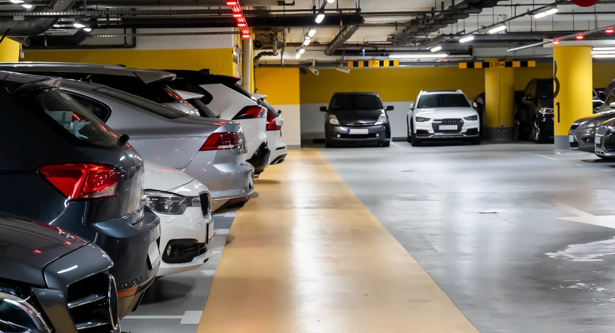 Debugged Blog Business May Face Pest Risk During COVID Hiding Ground At Basements