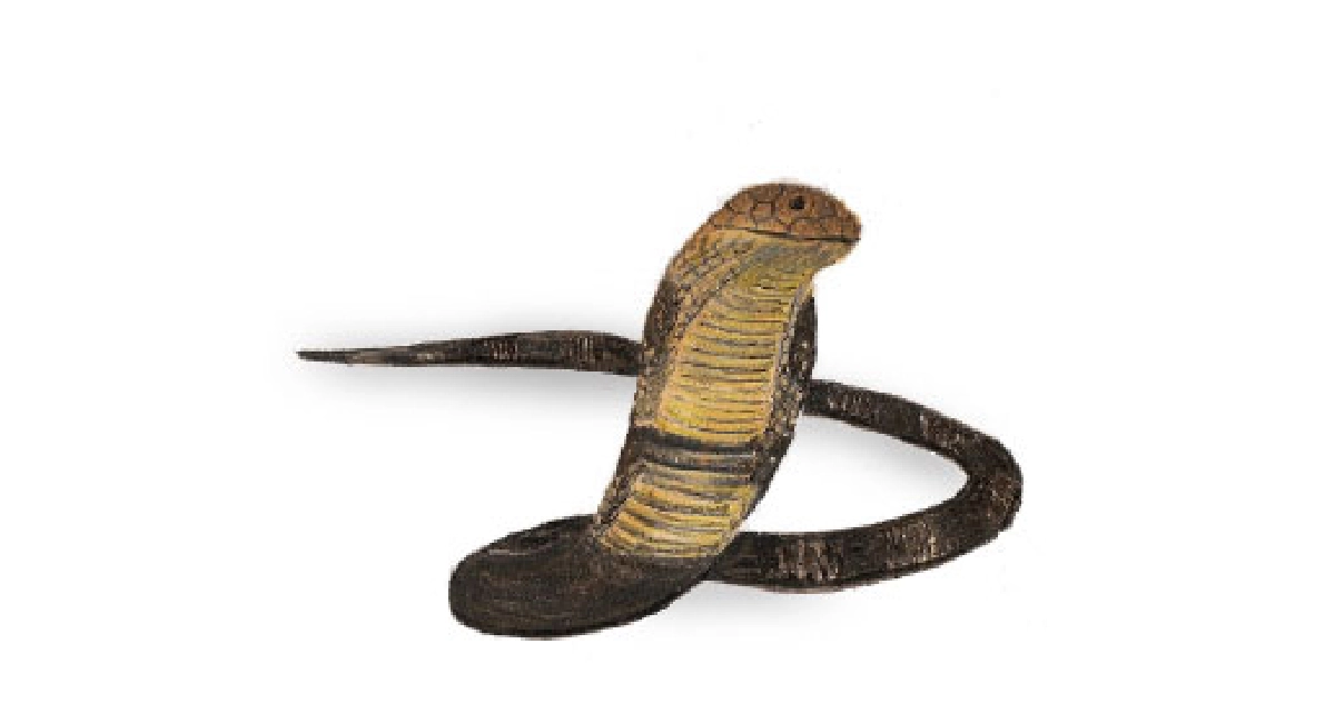 King Cobra
