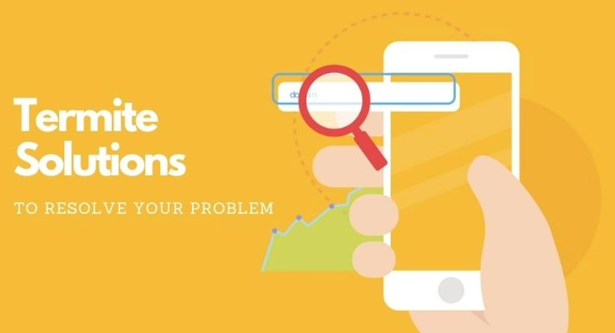 termites solutions to resolve your problem