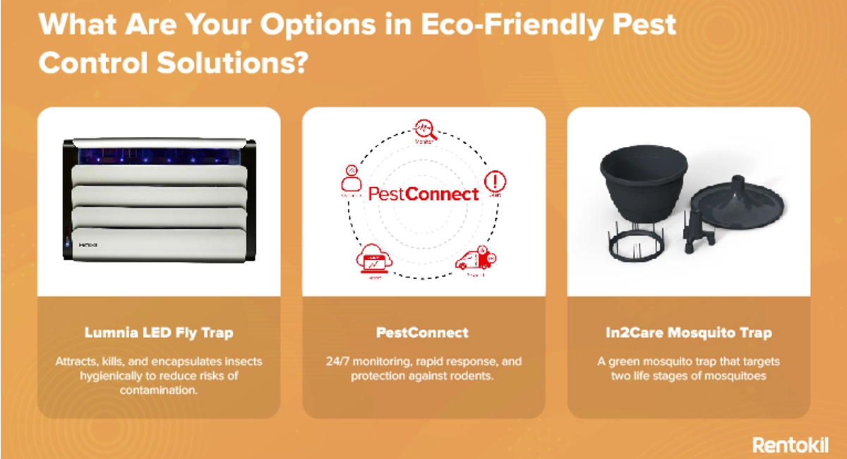 options in eco-friendly pest control solutions